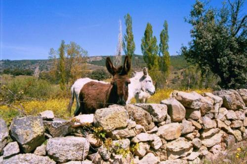 Casa Rural Menta Y Canela Тортолес Экстерьер фото